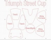 Triumph Street Cup
